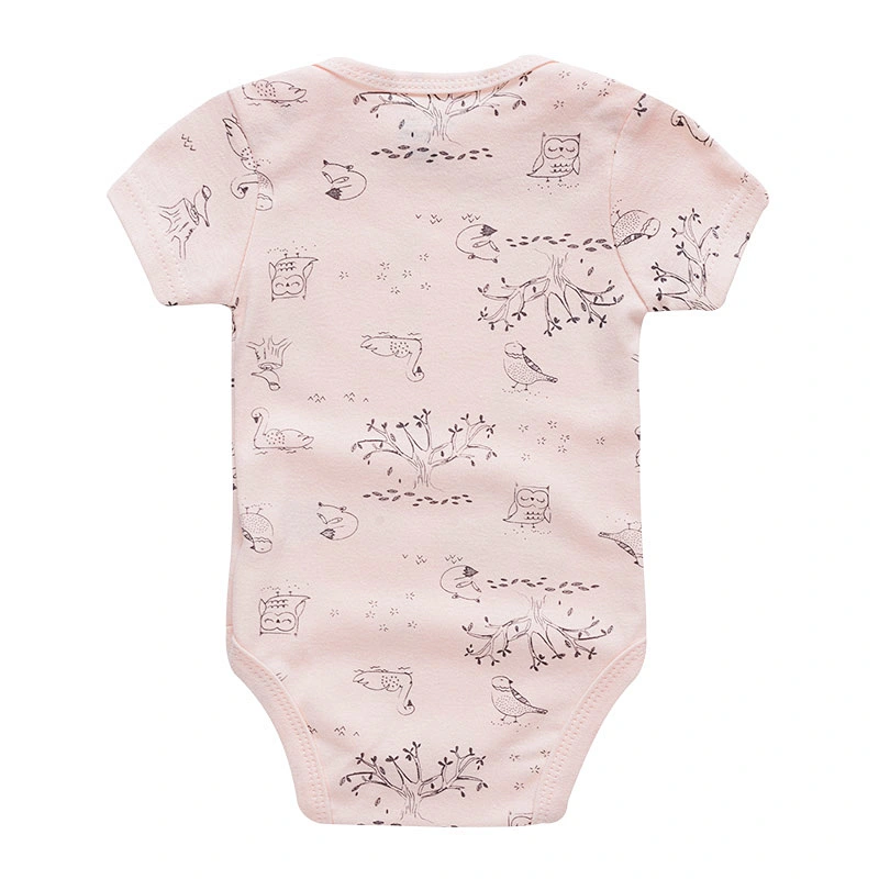 Newborn Baby Bodysuit 5 pieces Clothes gift set