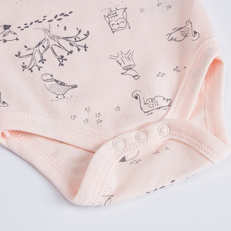 Newborn Baby Bodysuit 5 pieces Clothes gift set