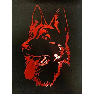 Heat transfer vinyl custom LOGO
