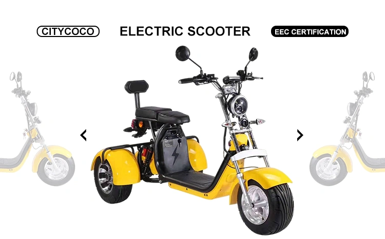 eec electric scooters 2000w