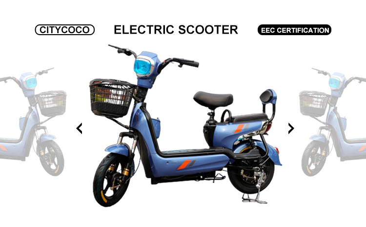 brushless motor electric scooter