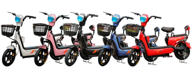 brushless motor electric scooter