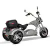 electric tricycle