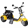 electric tricycle