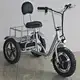 EEC 500w Brushless Hub Motor 48v 12ah Lead Acid Battery 25km/h Electric Mobility Scooter 3 Wheeled Mobility Scooter