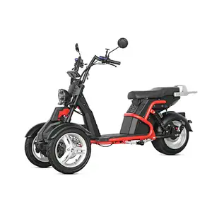 electric tricycle