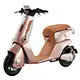 lithium battery electric scooter