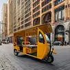 2000W Sightseeing Passenger Electric Tricycle with Lead-Acid Battery Open Body 3 Wheels for Adults Scenic Spot Use