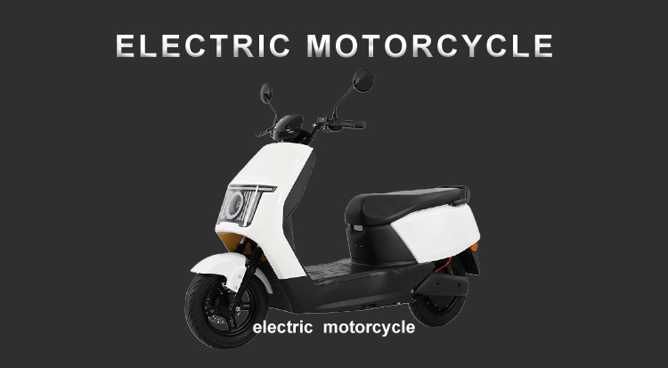 electric scooter for adult