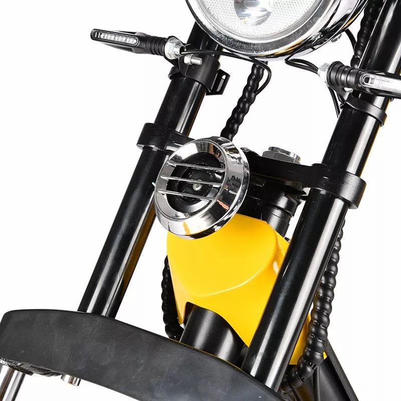 electric scooter 1500w