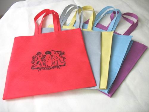 Shopping bag 005 500.jpg