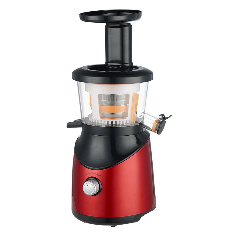 Slow Juicer