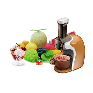 Fruit Ice Cream Maker