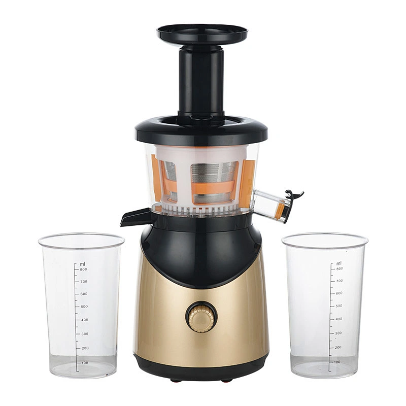 Slow Juicer