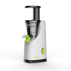 Mini Slow Juicer