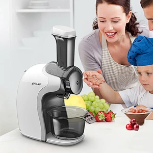 Fruit Ice Cream Maker
