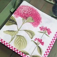 Printing Dinner Napkin