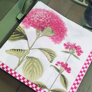 Printing Dinner Napkin