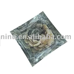 Glass Plate