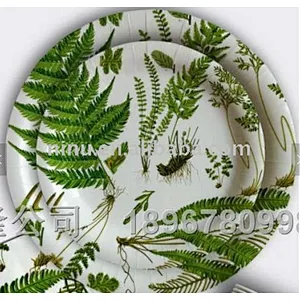disposable plate,paper plate design