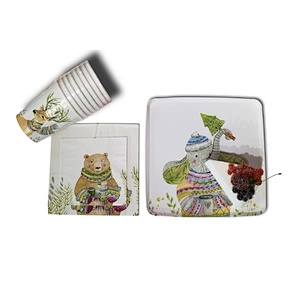paper plate &paper napkin party set