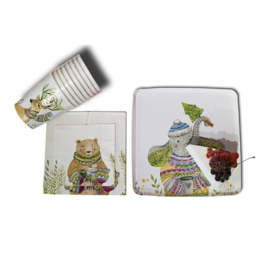 paper plate &paper napkin party set