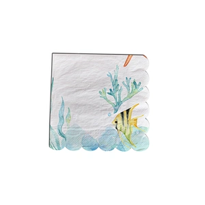 paper napkin&paper plate set