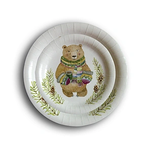 paper plate &paper napkin party set