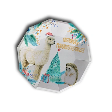 party paper plate set