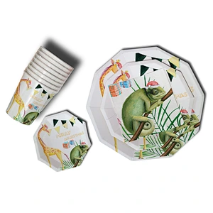 paper plate set