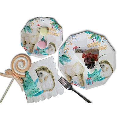 party paper plate set