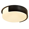 indoor room led light ceiling