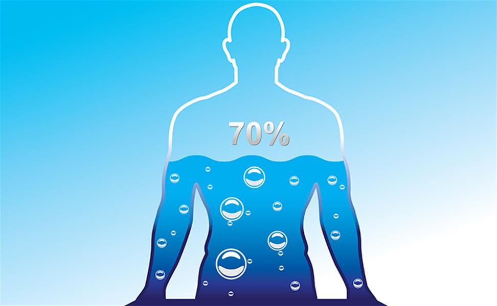 Do You Know the Water Cycle?