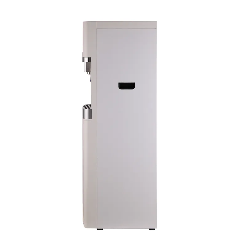Bottle Hidden Water Dispenser