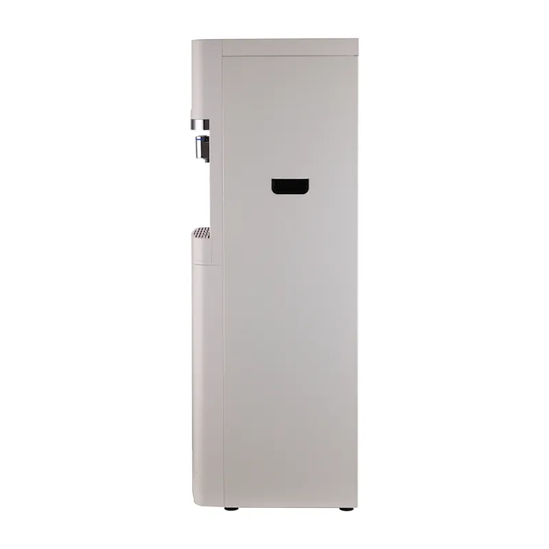 Luxury Water Dispenser With Bottle Bottom Loading
