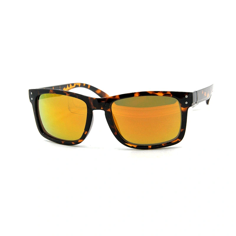 Men Square Sunglasses