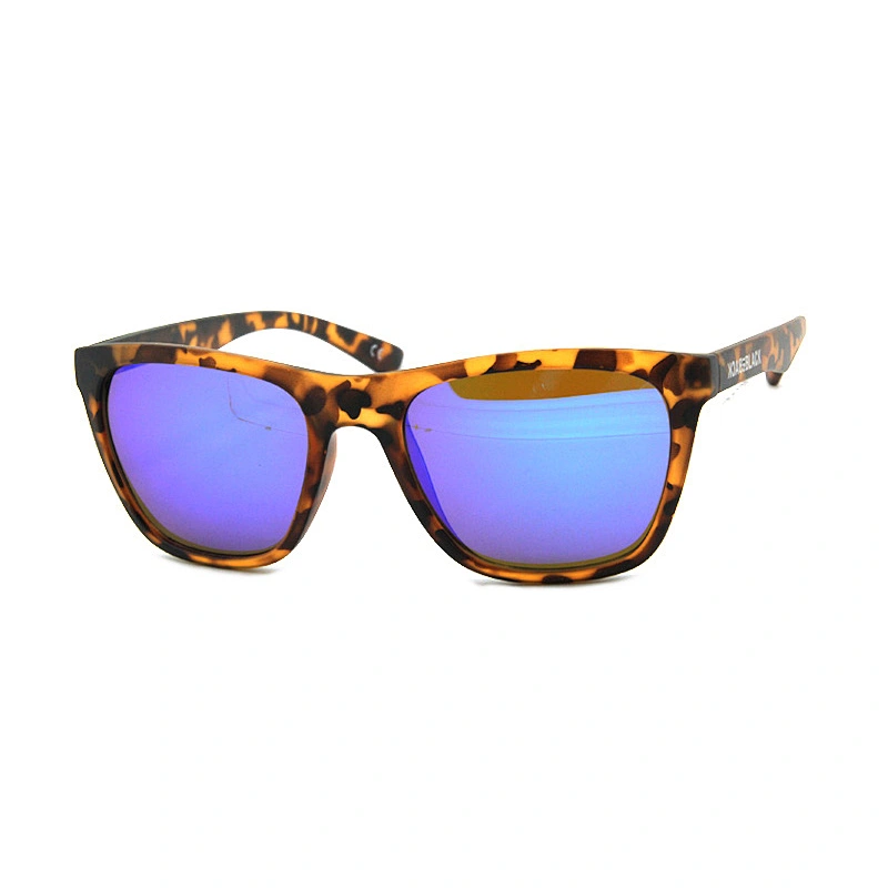 Men Acetate Sunglasses