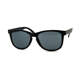 Men's sunglasses