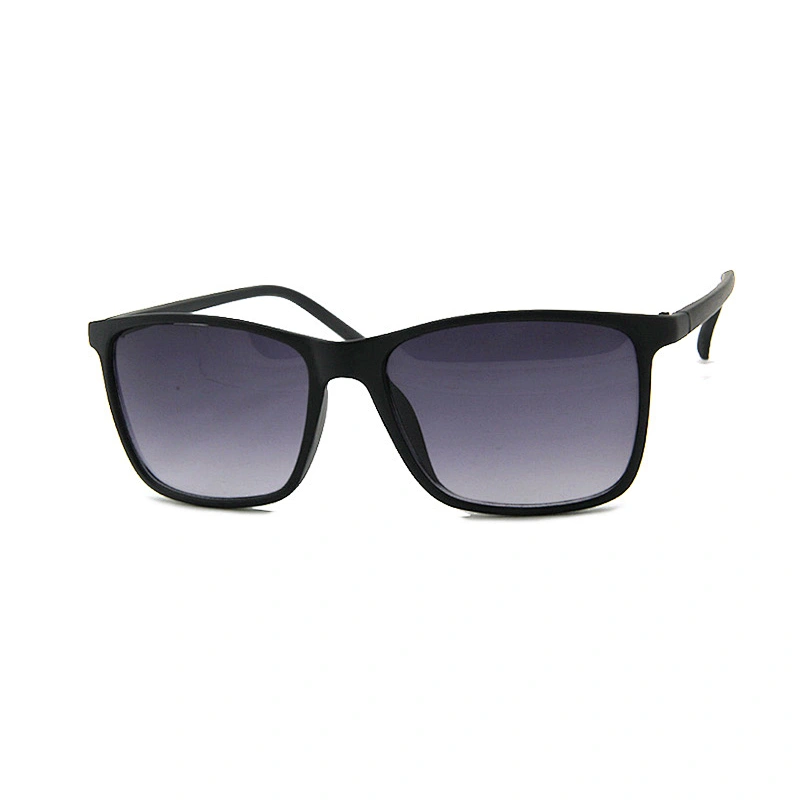 Men's Sunglasses