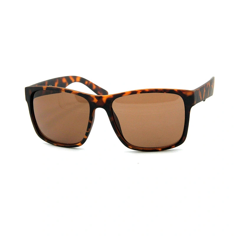 Men's sunglasses