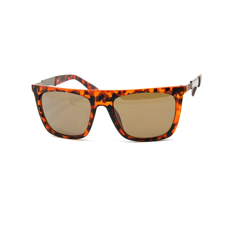 Men's Sunglasses
