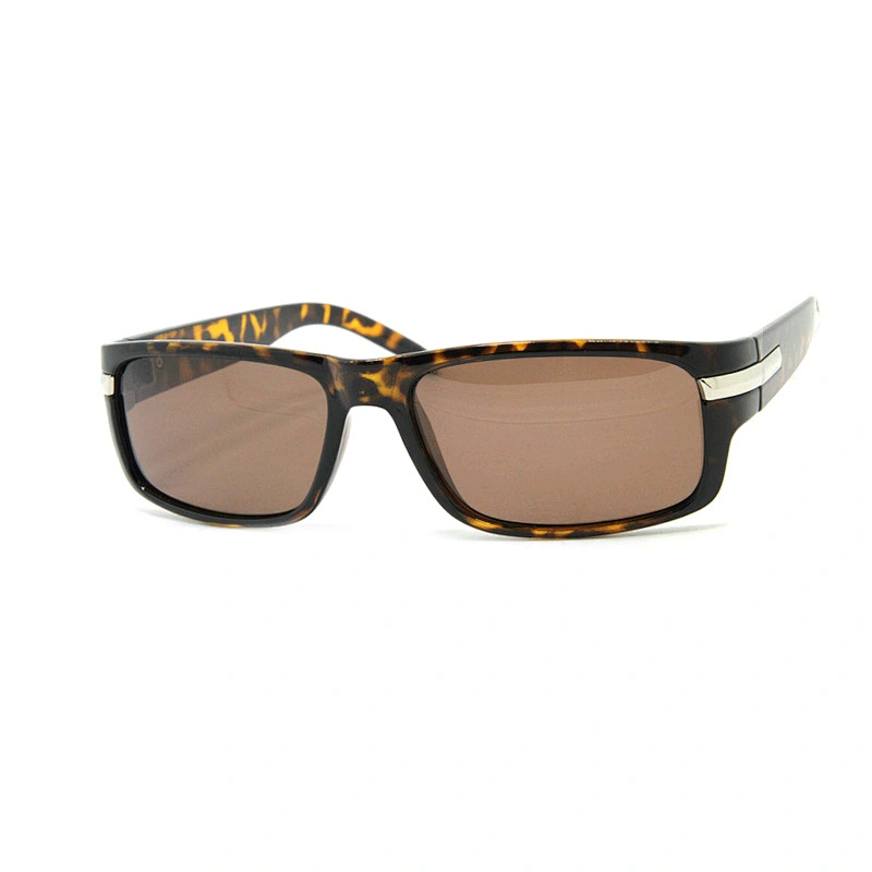 Men's sunglasses