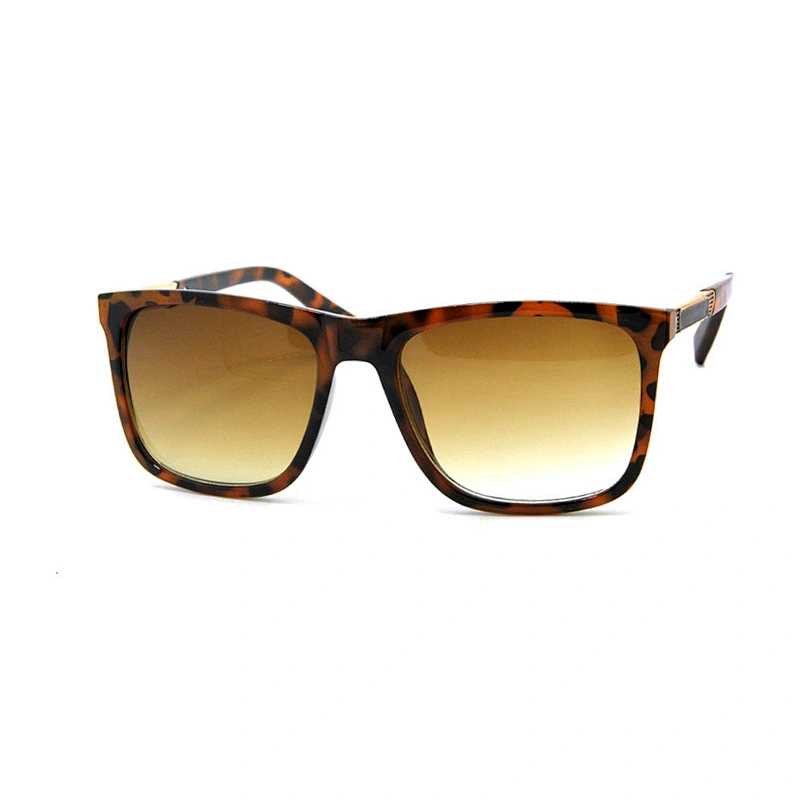 Men's sunglasses