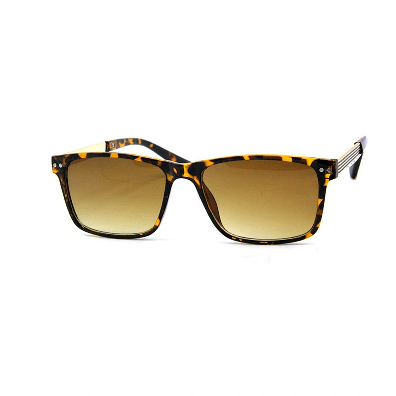 Men's sunglasses