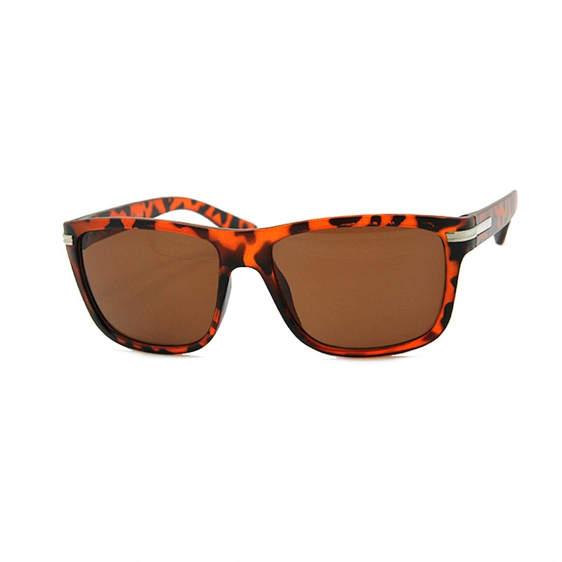 Men's sunglasses