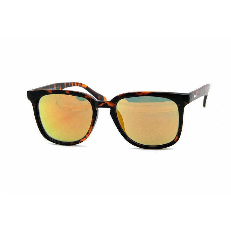 Men's sunglasses
