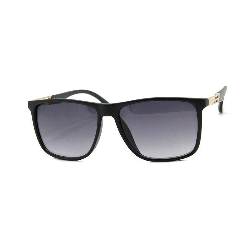 Men's Sunglasses