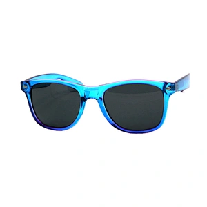 Men's sunglasses