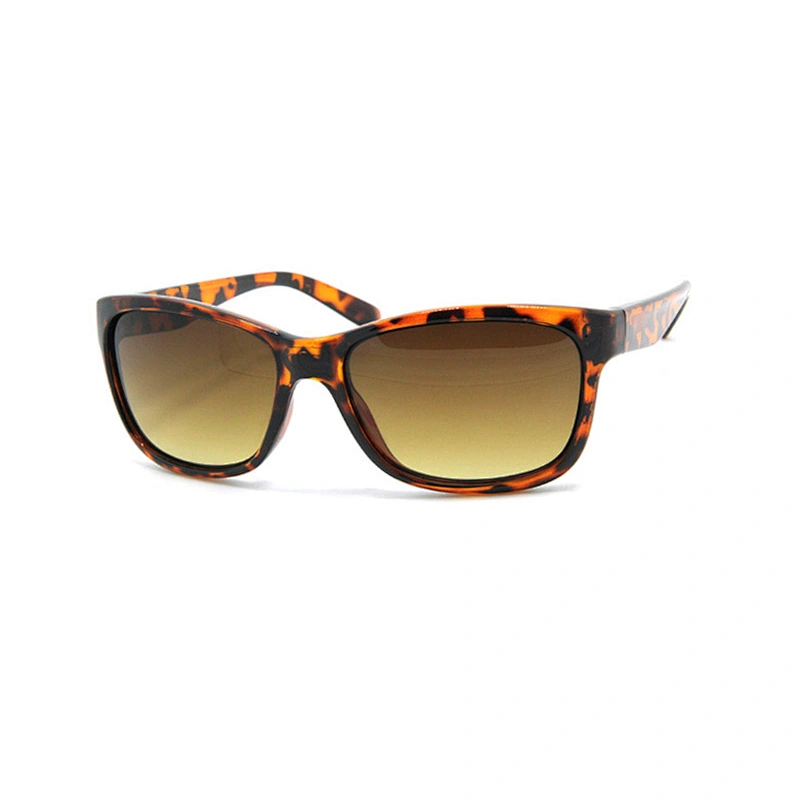 Men's sunglasses
