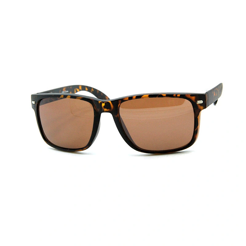 Men's sunglasses